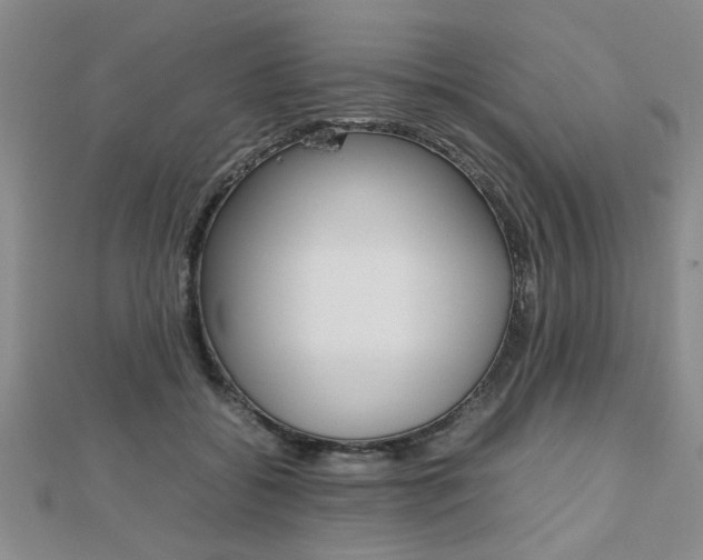 X0000112470556200908170953