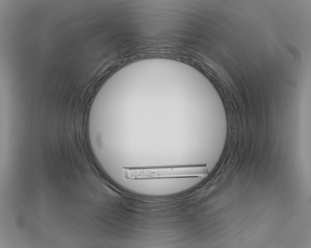 X0000112470558200908170953