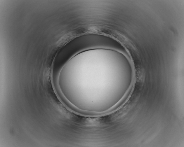 X0000112470560200908170953
