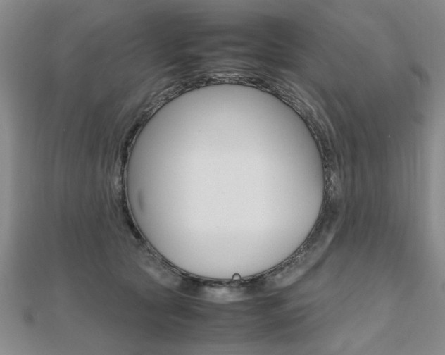 X0000112470561200908170953