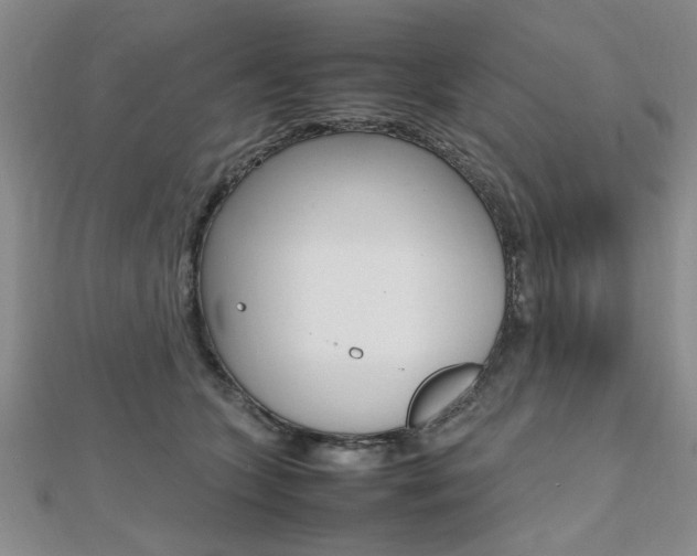 X0000112470563200908170953