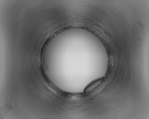 X0000112470564200908170953