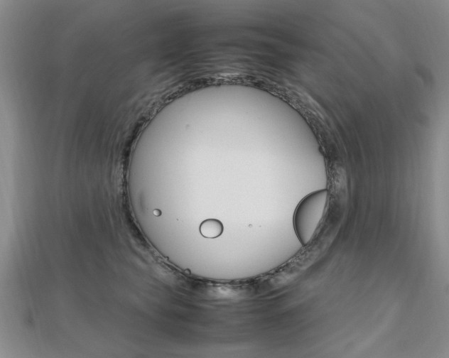 X0000112470565200908170953