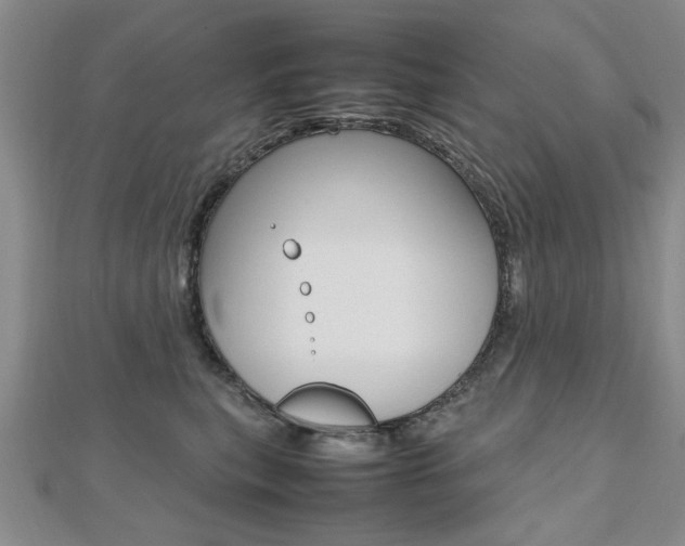X0000112470567200908170953