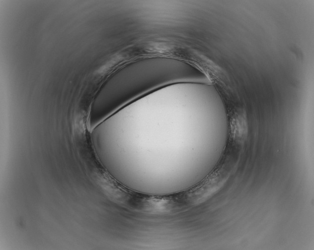 X0000112470570200908170953