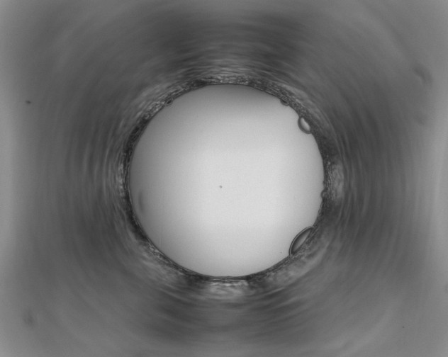 X0000112470571200908170953