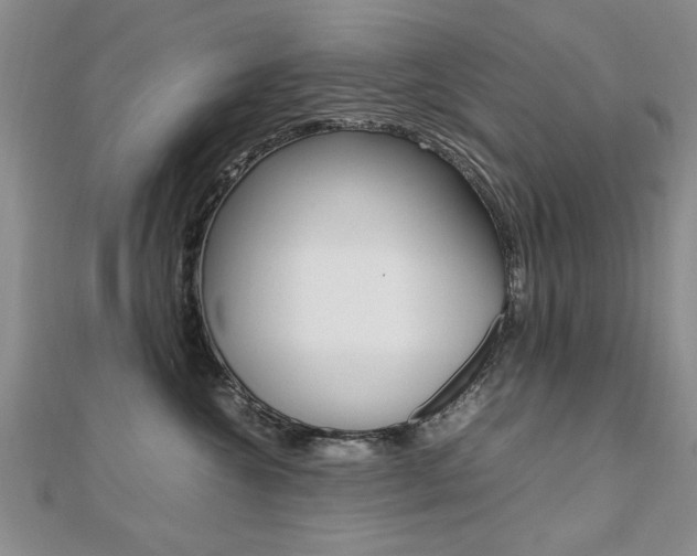 X0000112470572200908170953