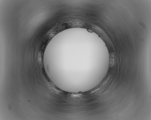 X0000112470573200908170953