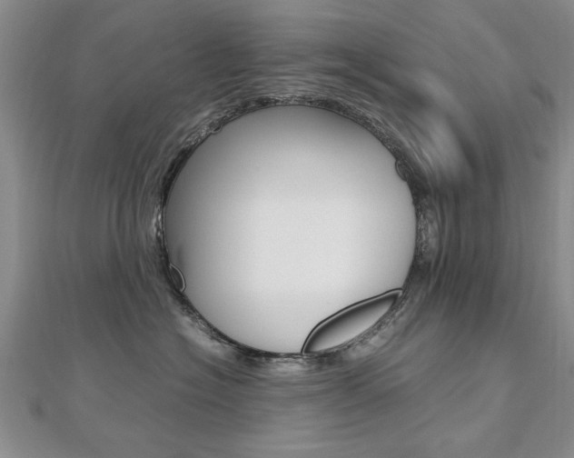 X0000112470574200908170953
