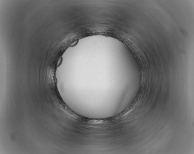 X0000112470575200908170953