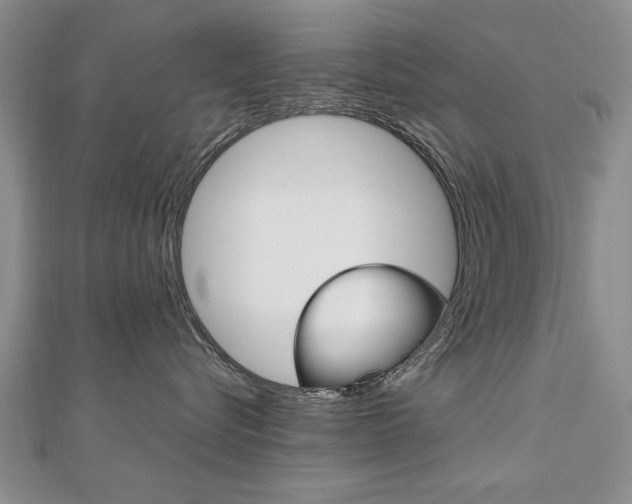 X0000112470576200908170953