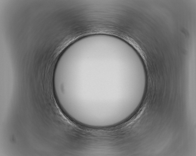 X0000112470577200908170952