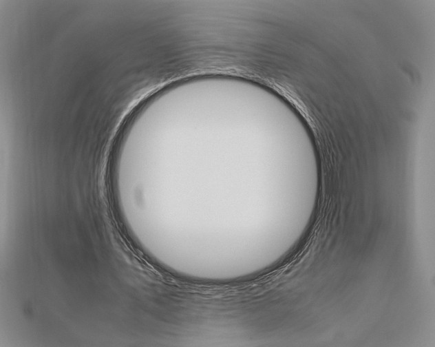 X0000112470579200908170952