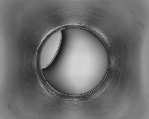 X0000112470580200908170952