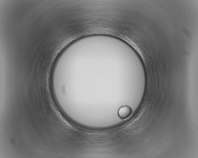 X0000112470581200908170952
