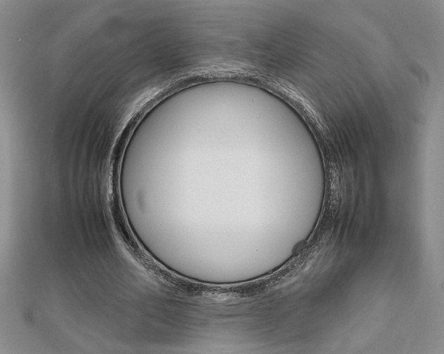 X0000112470582200908170952