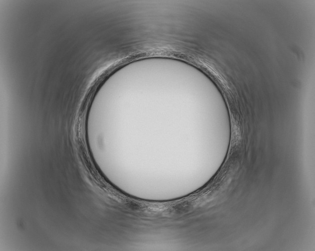 X0000112470583200908170952