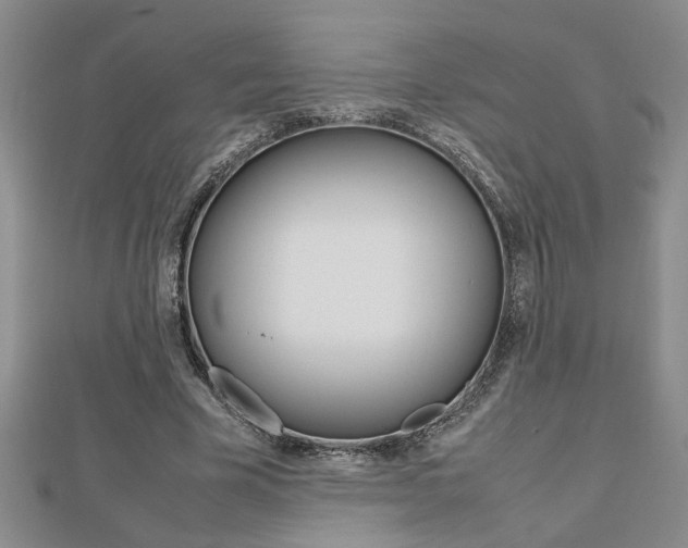 X0000112470585200908170952