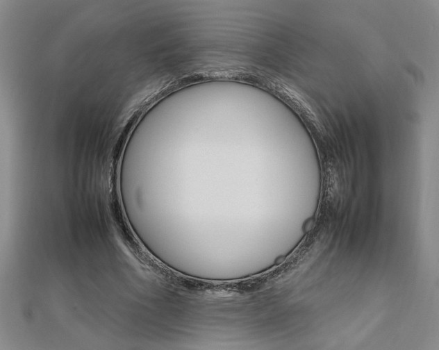 X0000112470586200908170952