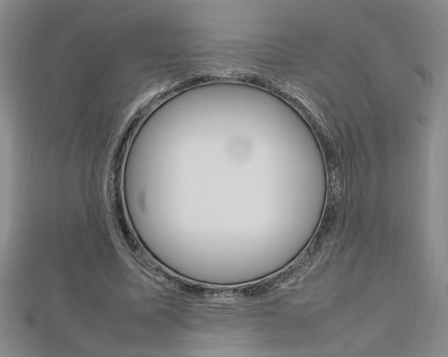 X0000112470587200908170952