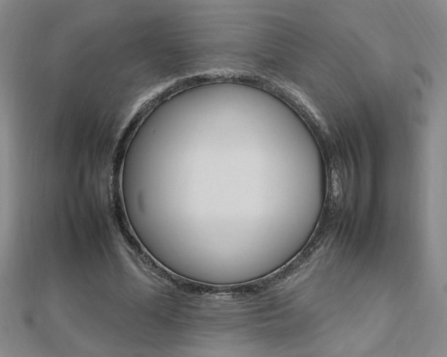 X0000112470588200908170952