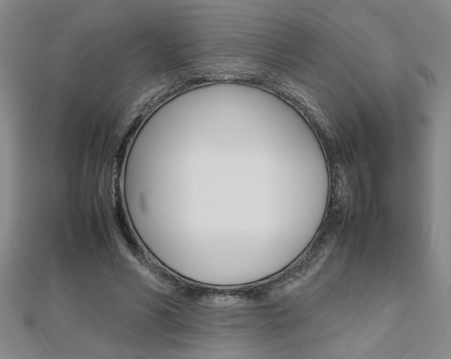 X0000112470590200908170952