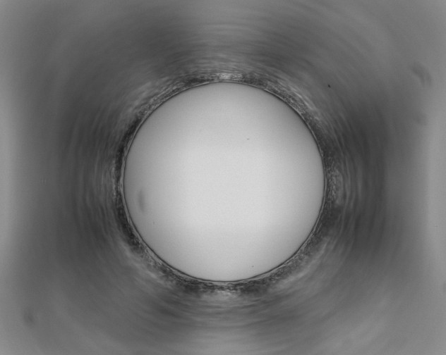 X0000112470594200908170952