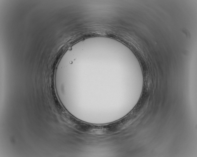 X0000112470595200908170952