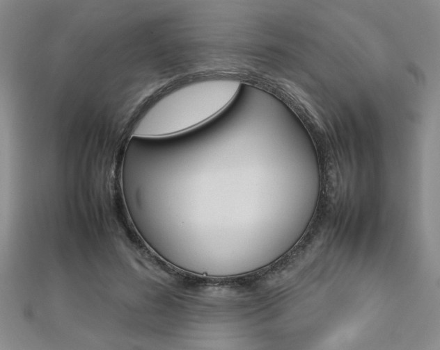 X0000112470596200908170952