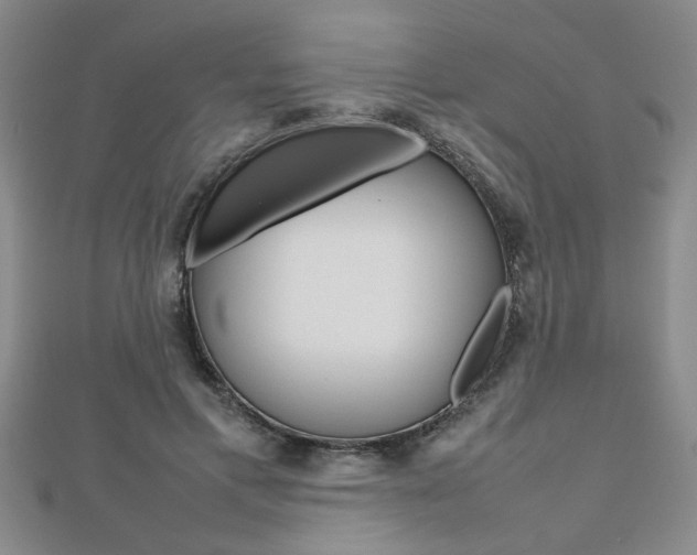 X0000112470597200908170952