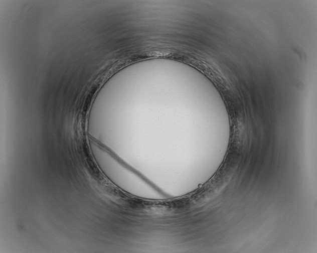 X0000112470598200908170952