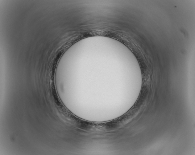 X0000112470599200908170952