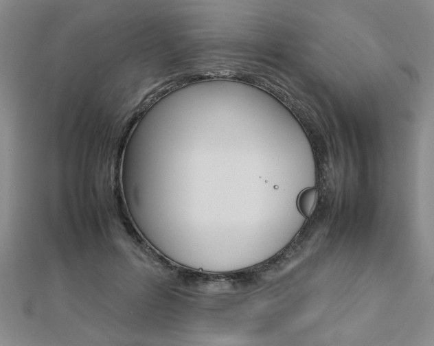 X0000112470600200908170952