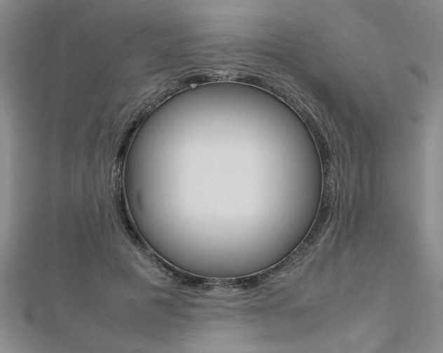 X0000112470601200908170952