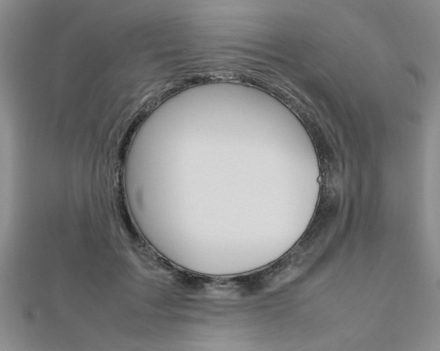 X0000112470603200908170952