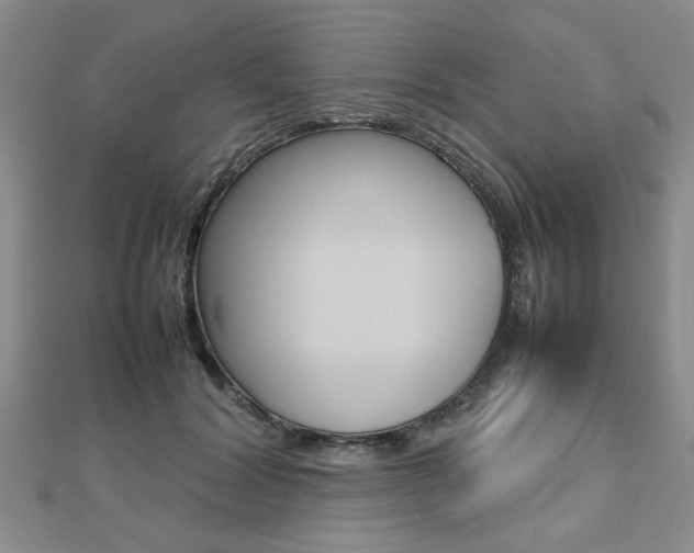 X0000112470604200908170952