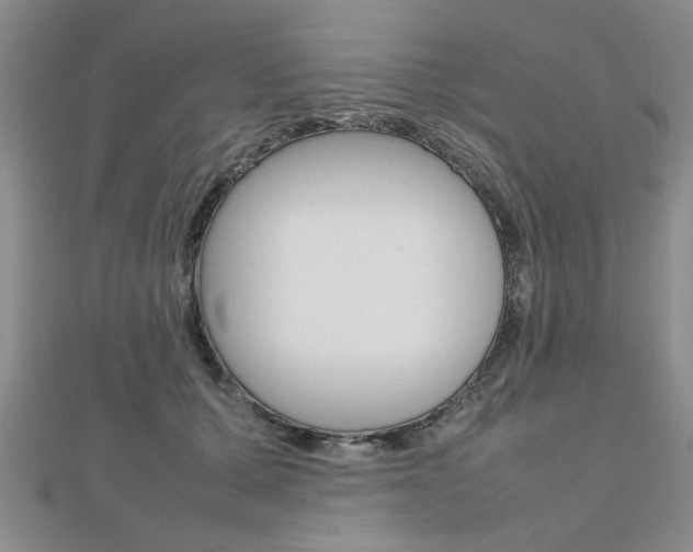X0000112470607200908170952