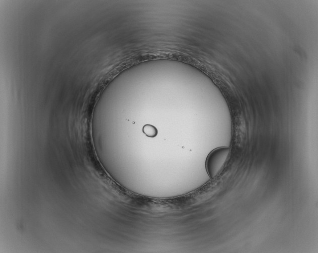 X0000112470608200908170952