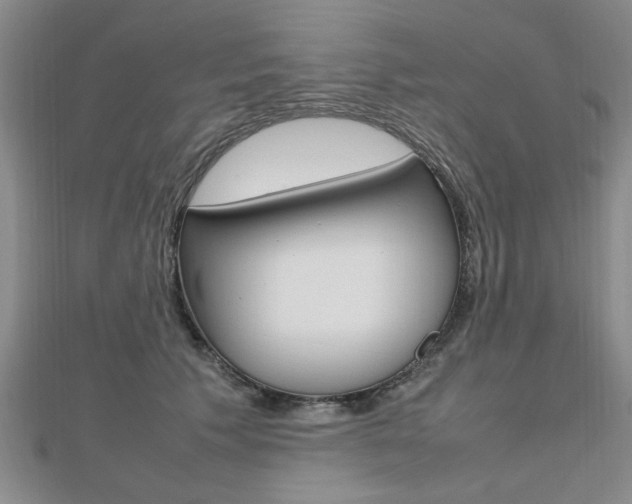 X0000112470609200908170952