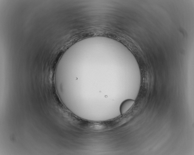 X0000112470610200908170952