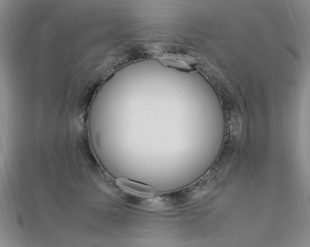 X0000112470611200908170952