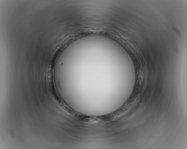 X0000112470612200908170952