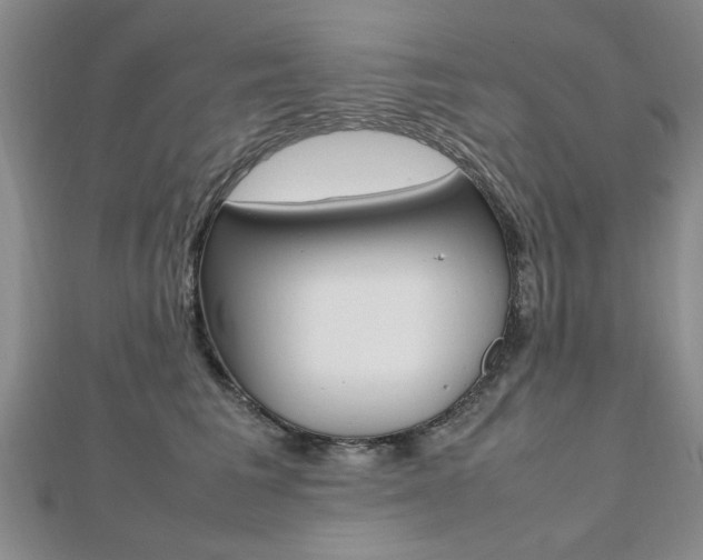 X0000112470613200908170952
