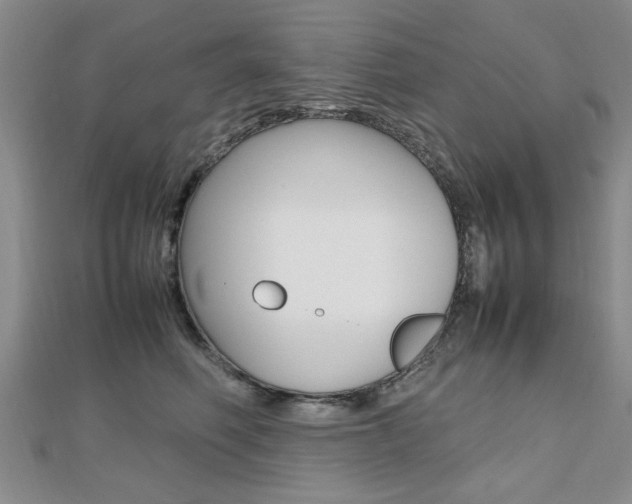 X0000112470614200908170952
