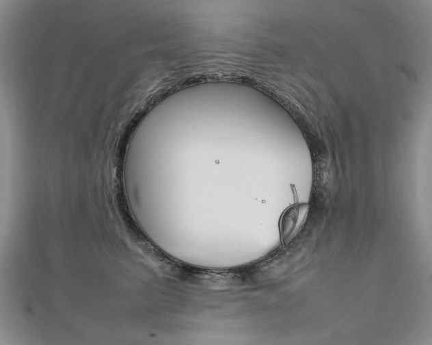 X0000112470615200908170952