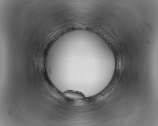 X0000112470616200908170952