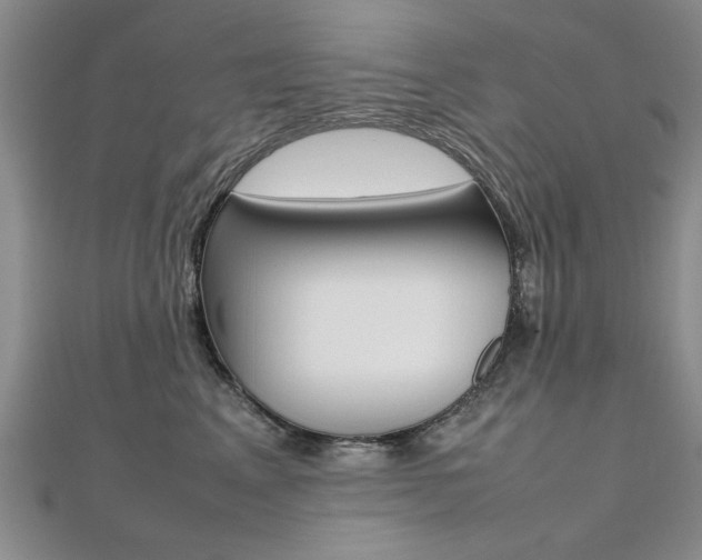X0000112470617200908170952