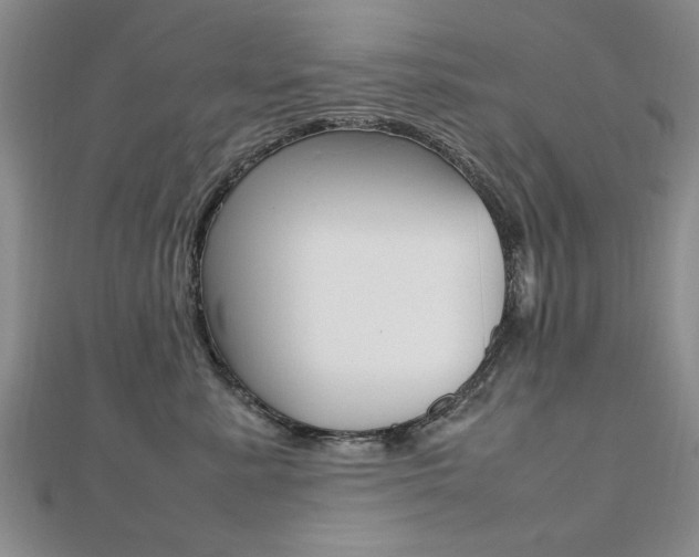 X0000112470619200908170952