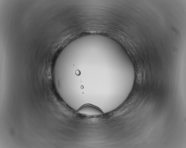 X0000112470620200908170952