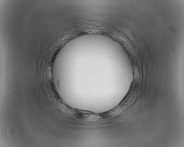X0000112470621200908170951